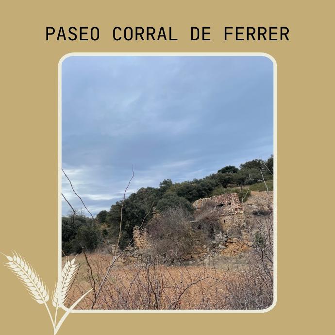 corral ferrer