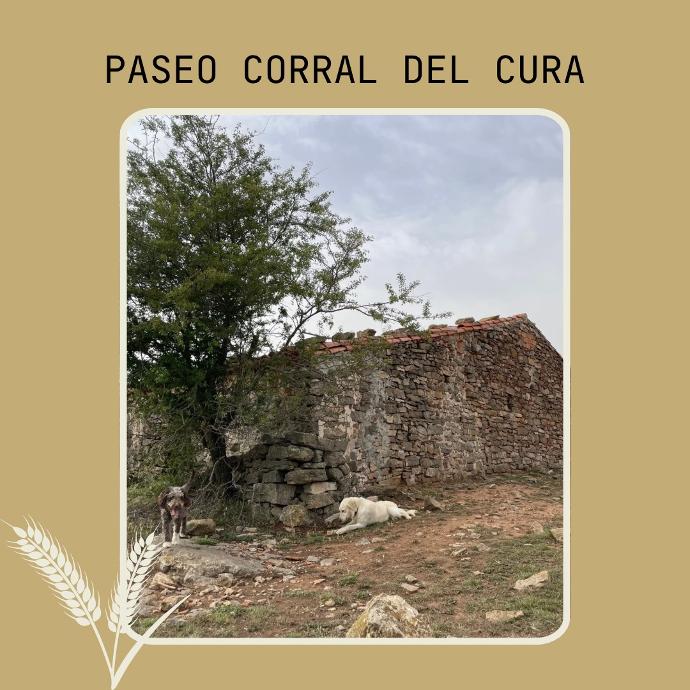 corral del cura