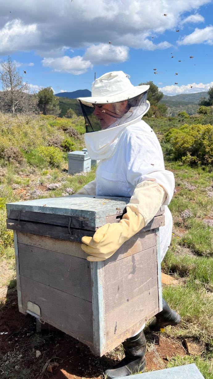 visita colmenas de abejas