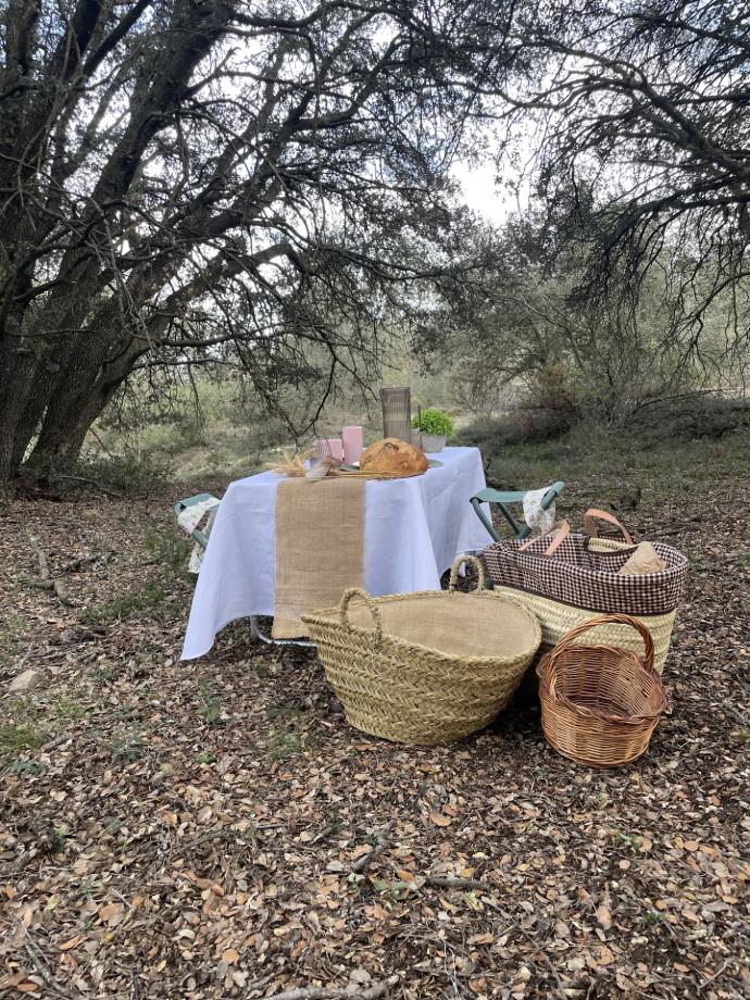 comida en el campo
