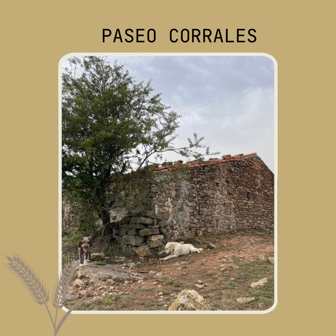 corral del cura alojamiento