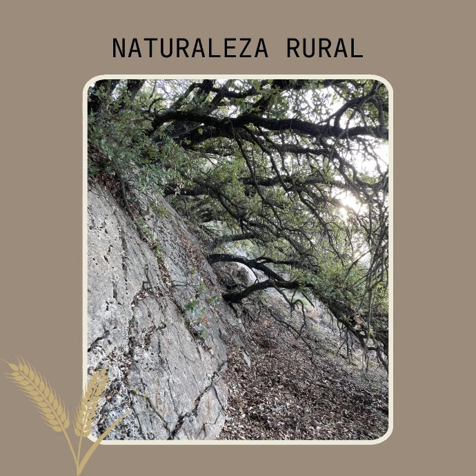 naturaleza carrascas