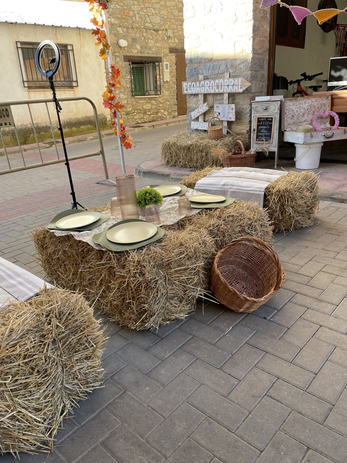 picnic rural